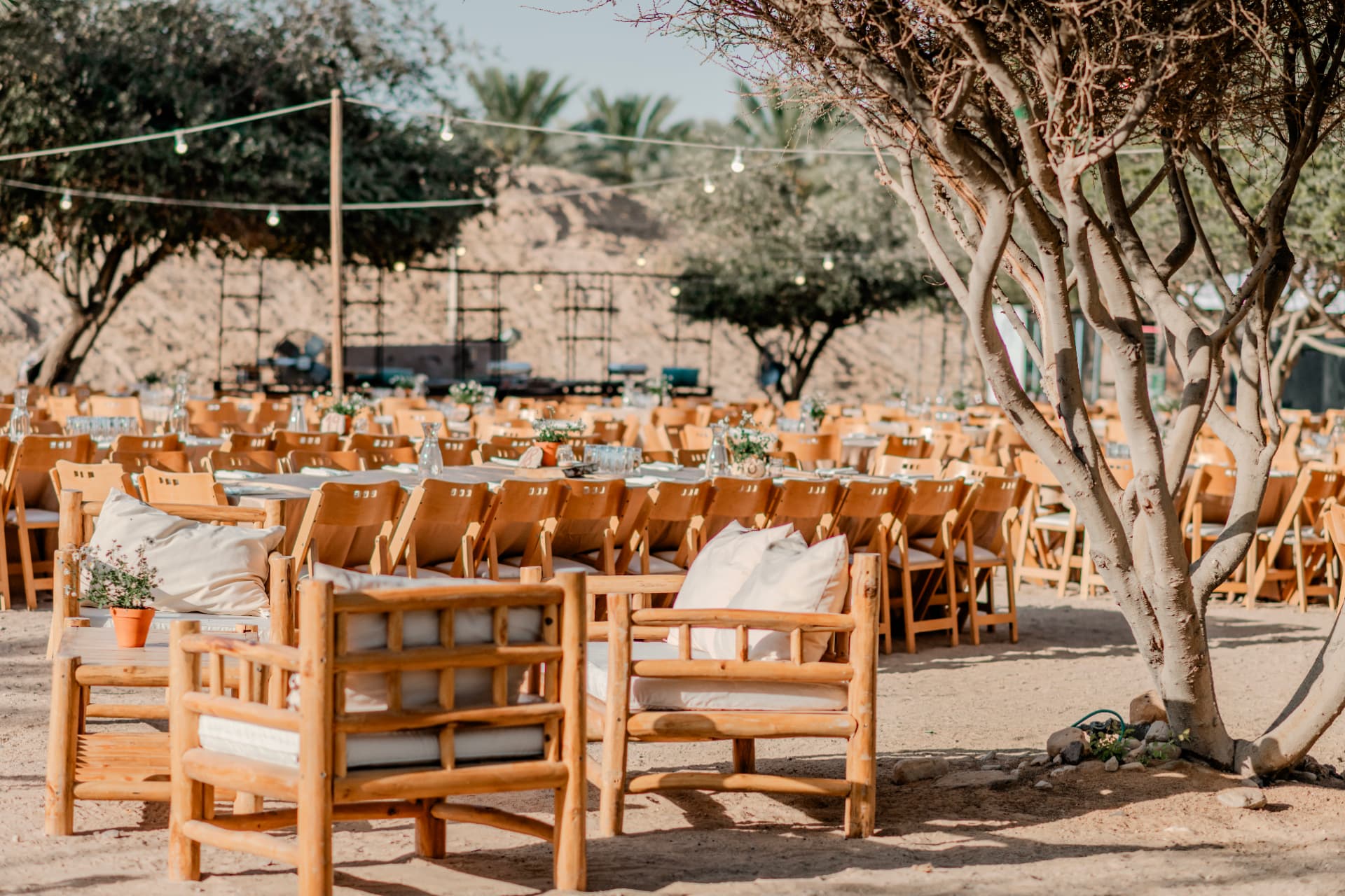 שולחנות עץ ארוכים ופנסים תלויים ברחבה בין עצים